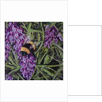 Buzz - Bumble Bee On Lavender, 2016 by Kirstie Adamson