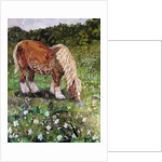 Hillside Horse, 2016 by Kirstie Adamson