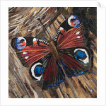 Awaken Peacock Butterfly On Woodpile, 2016 by Kirstie Adamson