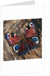 Awaken Peacock Butterfly On Woodpile, 2016 by Kirstie Adamson
