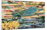 Green Dragonfly, 2017 by Kirstie Adamson