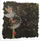 Element Fairy - Air, 2017 by Kirstie Adamson