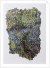 Bluebell Wood, 2017 by Kirstie Adamson