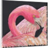 Flamingo, 2018 by Kirstie Adamson