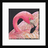 Flamingo, 2018 by Kirstie Adamson