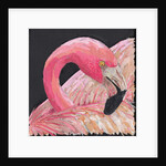 Flamingo, 2018 by Kirstie Adamson