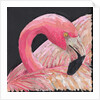 Flamingo, 2018 by Kirstie Adamson