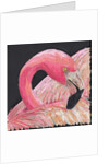 Flamingo, 2018 by Kirstie Adamson