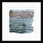 Seal Island, 2018 by Kirstie Adamson