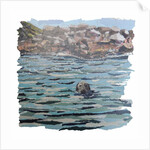 Seal Island, 2018 by Kirstie Adamson