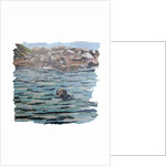 Seal Island, 2018 by Kirstie Adamson