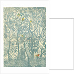 Bird watching from the kitchen window: robin, 2012 by Mary Kuper