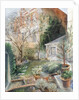 London Garden, 2002 by Mary Kuper