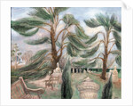 Chiswick House; cedarssphinxes, 2002 by Mary Kuper