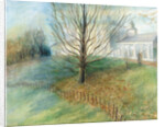 Autumn, Kenwood, 2002 by Mary Kuper
