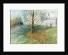 Autumn, Kenwood, 2002 by Mary Kuper