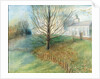 Autumn, Kenwood, 2002 by Mary Kuper