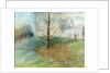 Autumn, Kenwood, 2002 by Mary Kuper