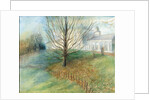 Autumn, Kenwood, 2002 by Mary Kuper