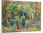 Tree ferns, Trewidden, 2012 by Mary Kuper