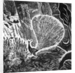 Signs of an approaching storm, 2004 by Mary Kuper