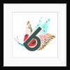 b is for butterfly, 2015 by Mary Kuper