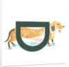 D is for dachshund, 2015 by Mary Kuper