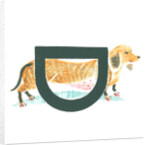 D is for dachshund, 2015 by Mary Kuper