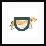 D is for dachshund, 2015 by Mary Kuper
