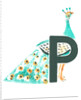 P is for peacock, 2015 by Mary Kuper