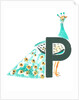 P is for peacock, 2015 by Mary Kuper