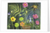 Secret Garden, 2003 by Mary Kuper