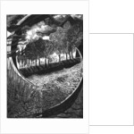 ...our peculiar sort of existence here... David Jones, 2018 by Mary Kuper