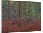 A Beech Wood by Harold Gilman