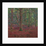 A Beech Wood by Harold Gilman