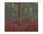 A Beech Wood by Harold Gilman