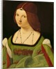 Portrait of a Lady by Giovanni Antonio Boltraffio