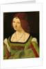 Portrait of a Lady by Giovanni Antonio Boltraffio