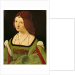 Portrait of a Lady by Giovanni Antonio Boltraffio