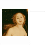 Detail from Eve, the Serpent and Death by Hans Baldung Grien