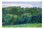 Landscape, Somerset, 1917 by Harold Gilman