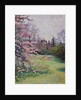 Japanese Crab Apple Blossom, Kew, 1921 by Lucien Pissarro