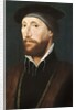 Sir Thomas Lestrange by Hans Holbein the Younger