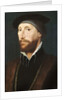 Sir Thomas Lestrange by Hans Holbein the Younger