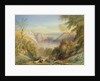 Avon Gorge from Leigh Woods, looking towards St. Vincent Rocks by Samuel Jackson