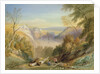 Avon Gorge from Leigh Woods, looking towards St. Vincent Rocks by Samuel Jackson