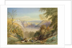 Avon Gorge from Leigh Woods, looking towards St. Vincent Rocks by Samuel Jackson