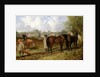 Morning: Preparing to Plough, 1848 by John Frederick Herring Snr