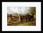 Morning: Preparing to Plough, 1848 by John Frederick Herring Snr