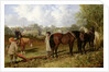 Morning: Preparing to Plough, 1848 by John Frederick Herring Snr
